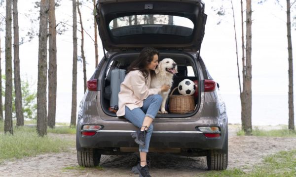 ¿Vale la pena viajar en coche por Brasil?